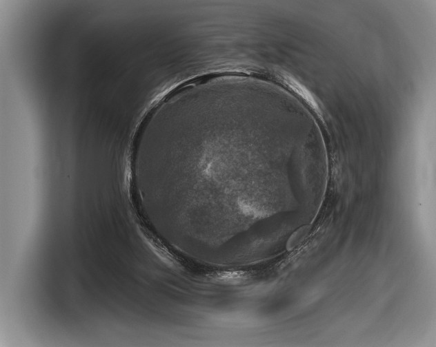 X0000116610059200912111142