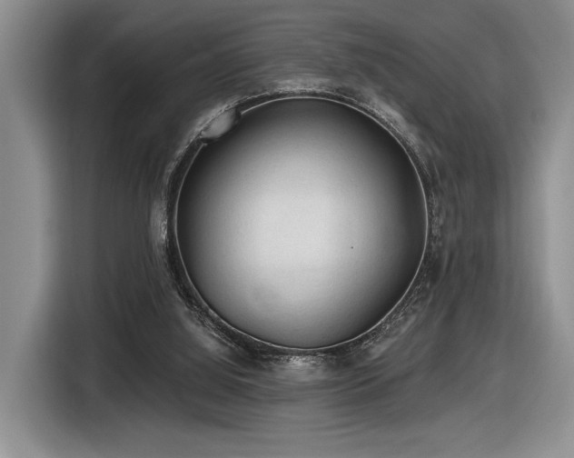 X0000116610060200912111142