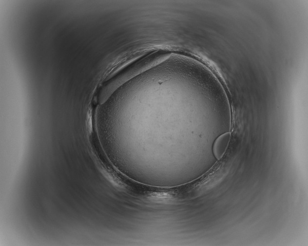 X0000116610061200912111142