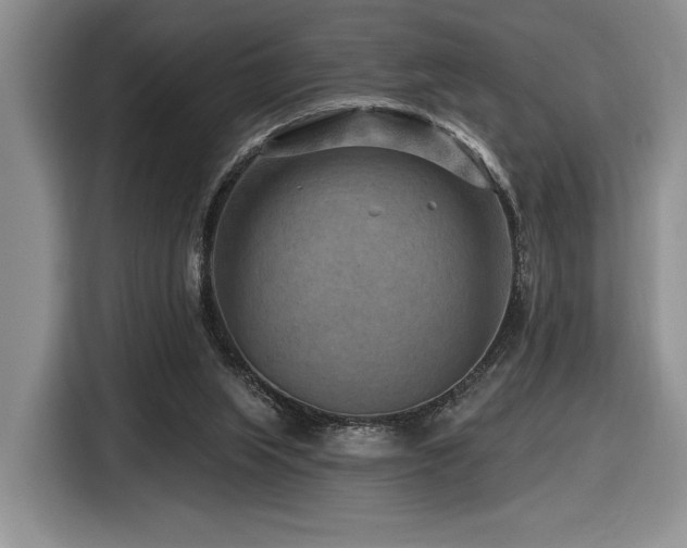 X0000116610063200912111142