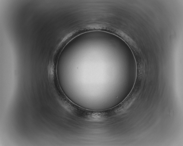 X0000116610064200912111142