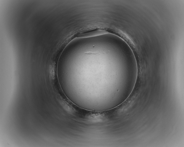 X0000116610065200912111142