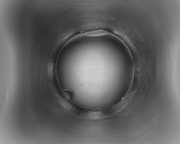 X0000116610066200912111142