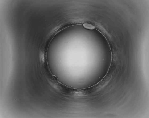 X0000116610068200912111142