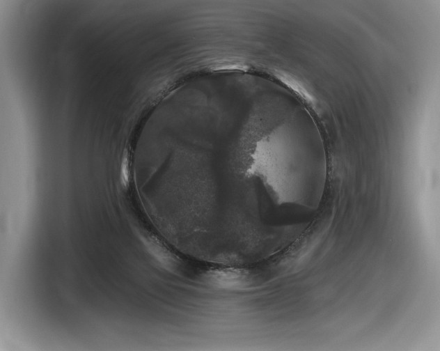 X0000116610069200912111142