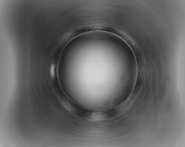 X0000116610070200912111142