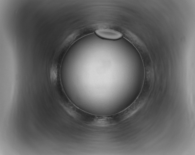 X0000116610072200912111142