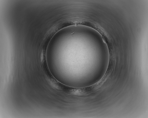 X0000116610074200912111142