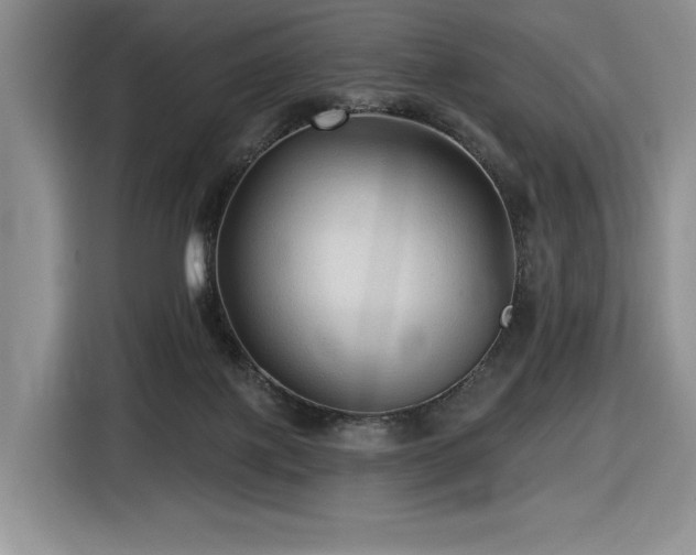 X0000116610075200912111142