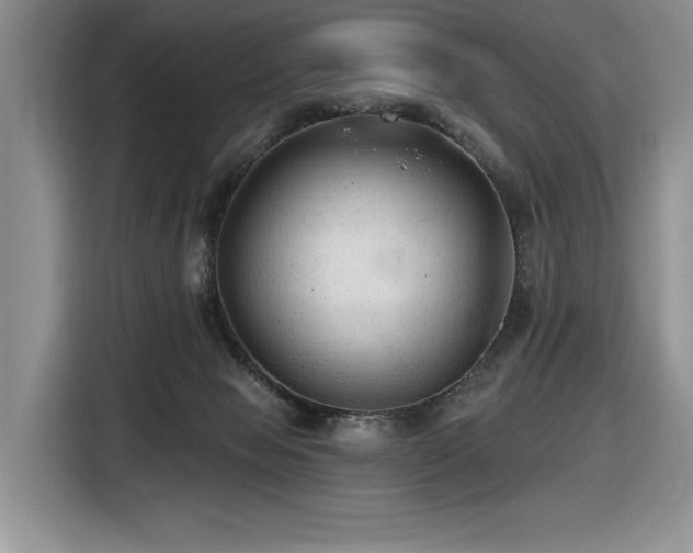 X0000116610077200912111142