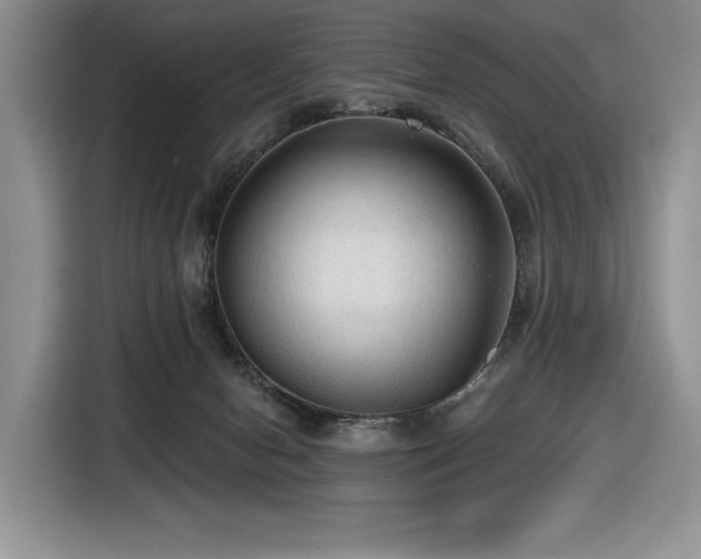 X0000116610078200912111142