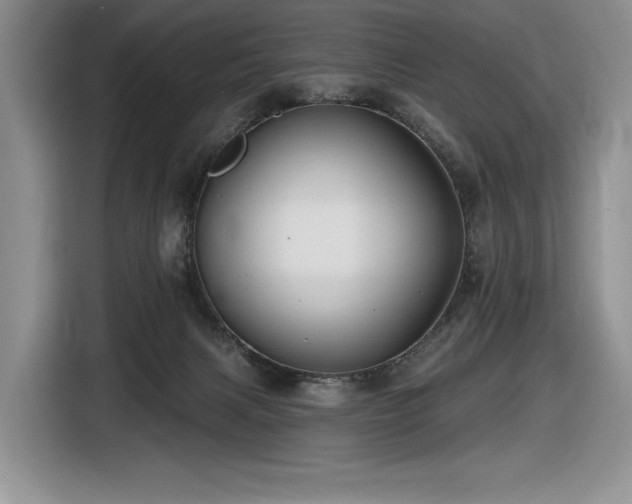 X0000116610079200912111142