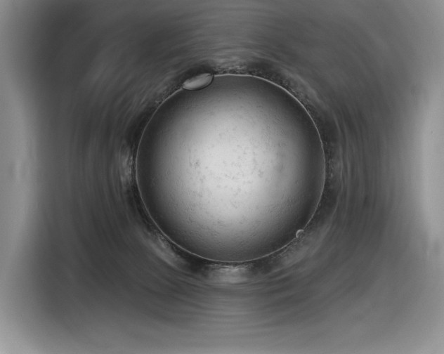X0000116610081200912111142
