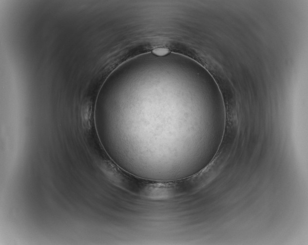 X0000116610082200912111142