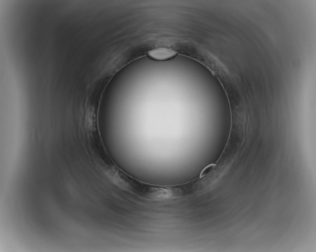 X0000116610083200912111142