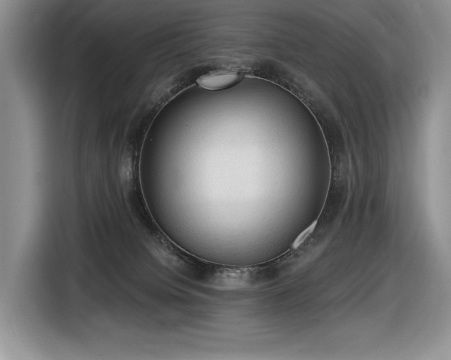 X0000116610084200912111142