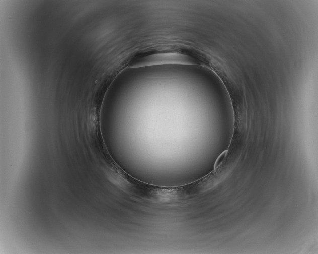 X0000116610085200912111142
