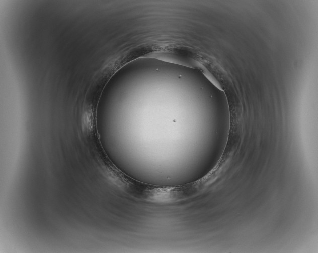 X0000116610090200912111143