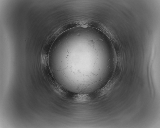 X0000116610093200912111143