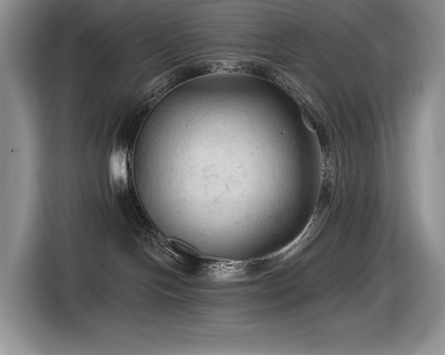 X0000116610094200912111143