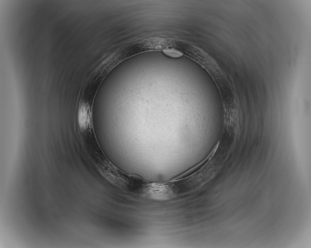 X0000116610095200912111143