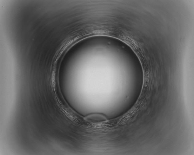 X0000116610098200912111142