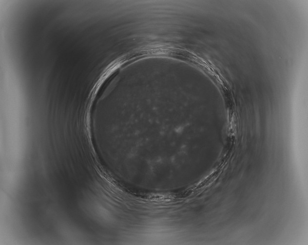 X0000116610099200912111142