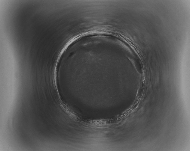 X0000116610100200912111142