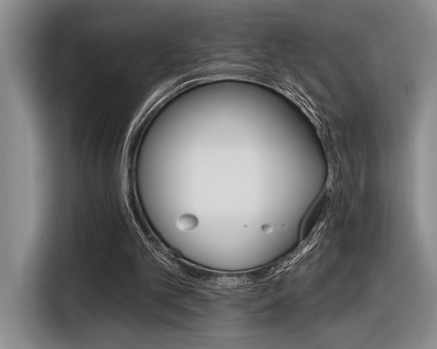 X0000116610101200912111142