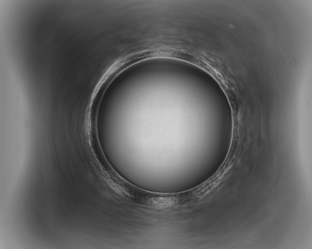 X0000116610102200912111142