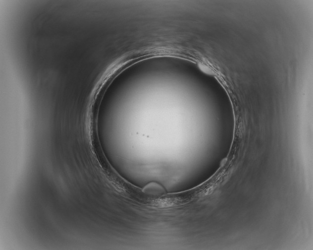 X0000116610103200912111142