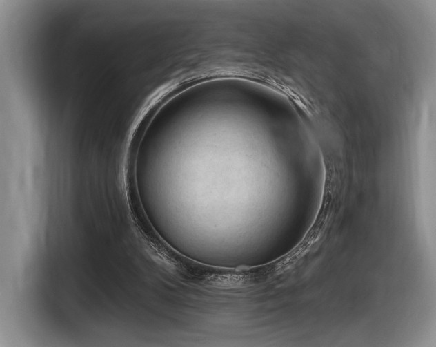 X0000116610104200912111142