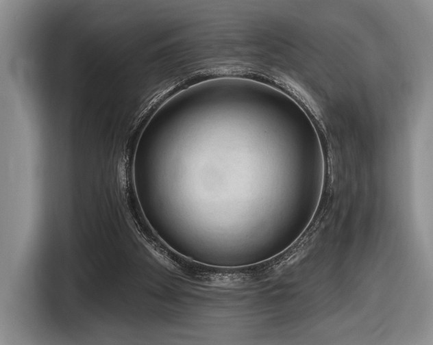 X0000116610105200912111142