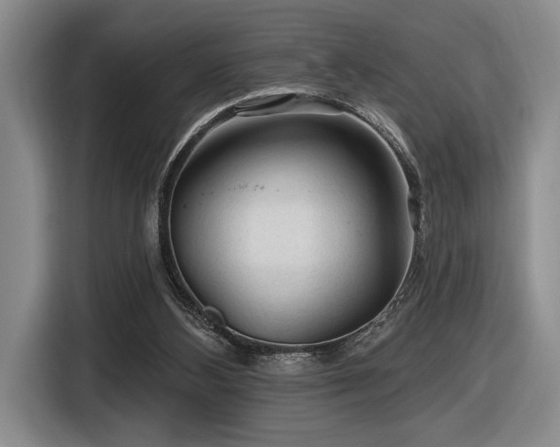X0000116610108200912111142