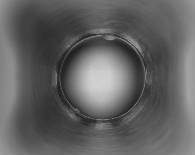 X0000116610109200912111142