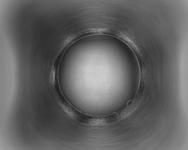 X0000116610110200912111142