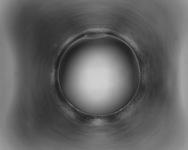X0000116610111200912111142