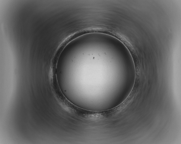 X0000116610112200912111142