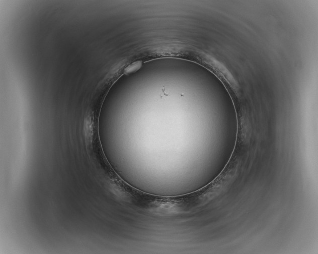 X0000116610113200912111142