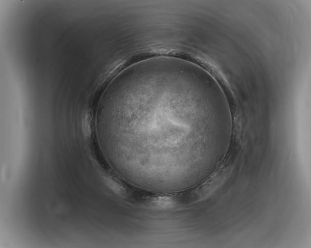 X0000116610114200912111142