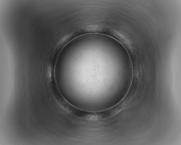 X0000116610115200912111142