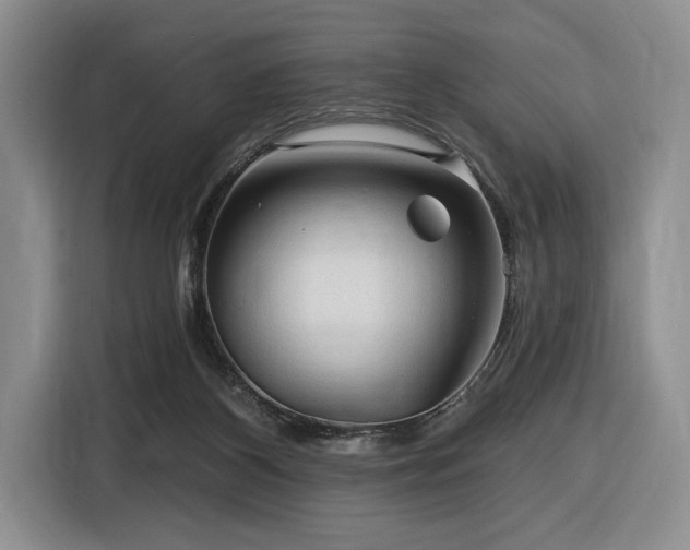 X0000116610116200912111142