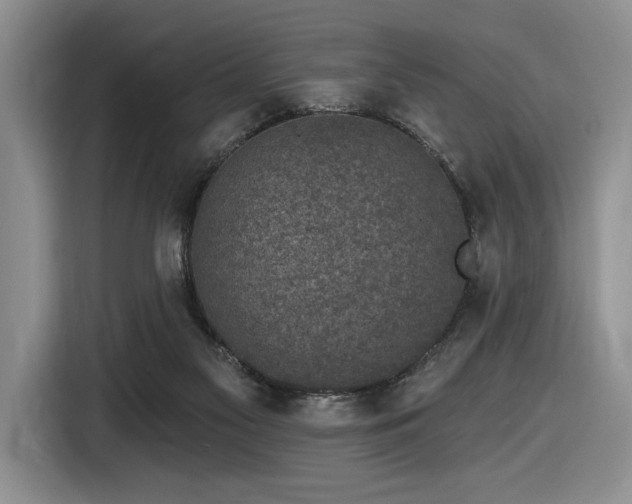 X0000116610117200912111142