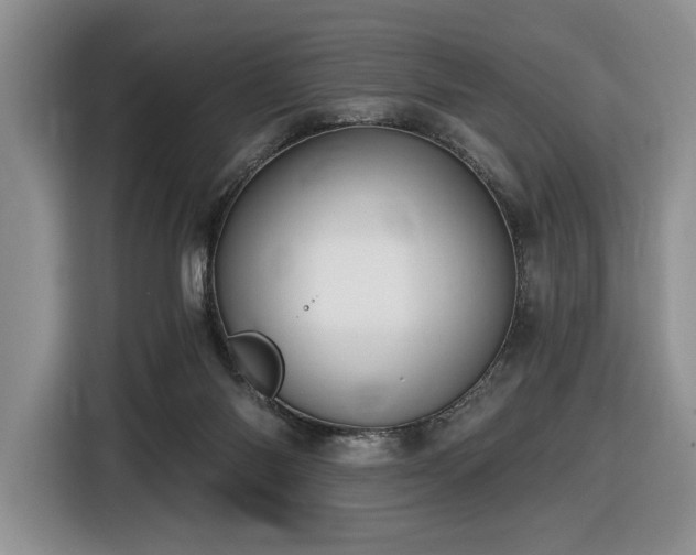 X0000116610118200912111142