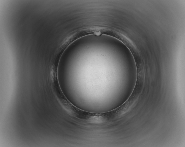 X0000116610119200912111142