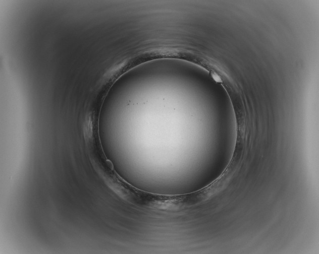 X0000116610120200912111142