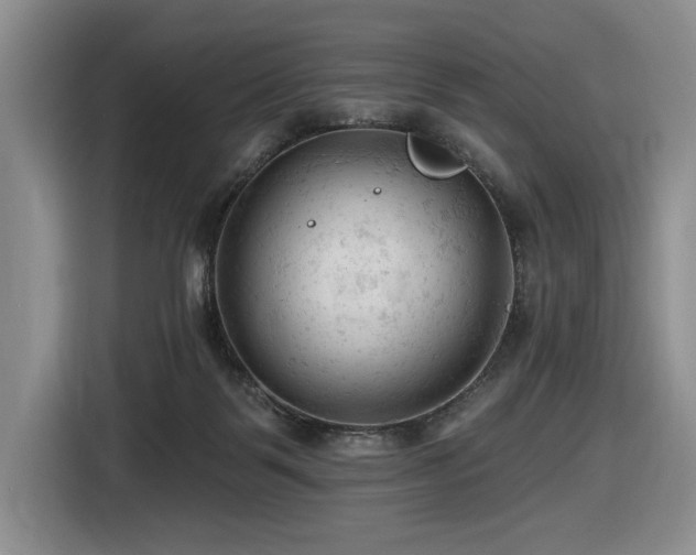 X0000116610123200912111142