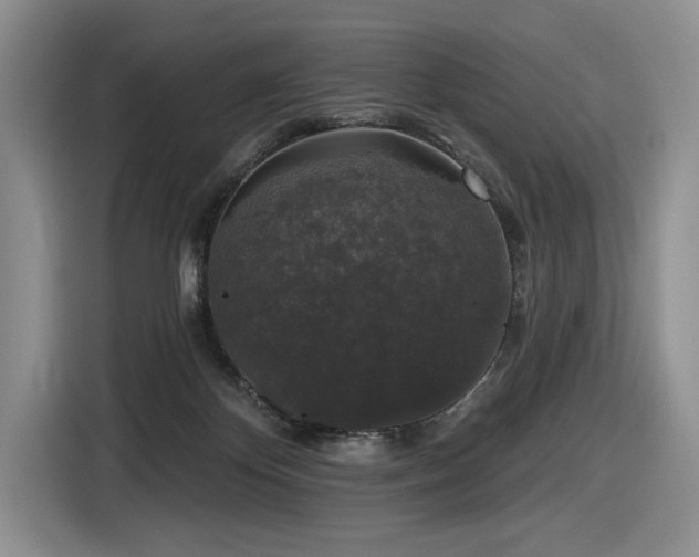 X0000116610124200912111142