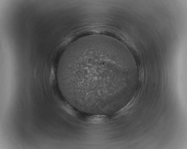 X0000116610128200912111142