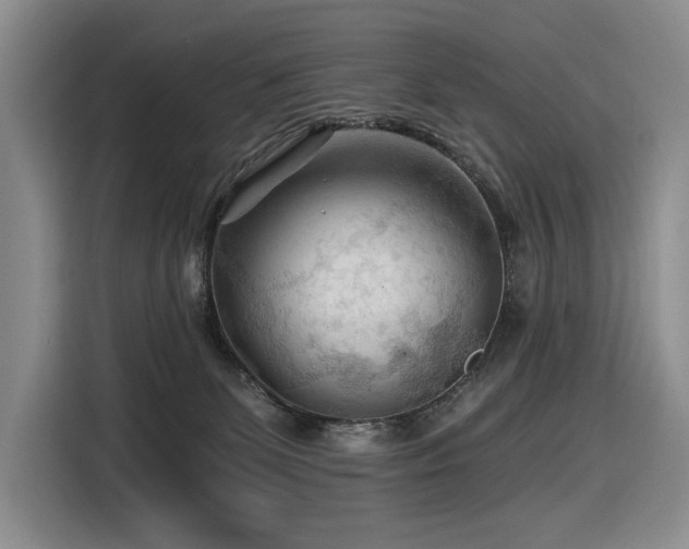 X0000116610131200912111142